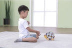 Pull along shape sorting hedgehog - pre order for September delivery