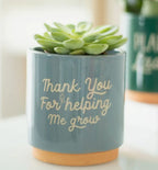 Teacher gifts. Christmas gifts